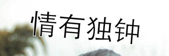 情有獨鍾&132本優秀的高分作品